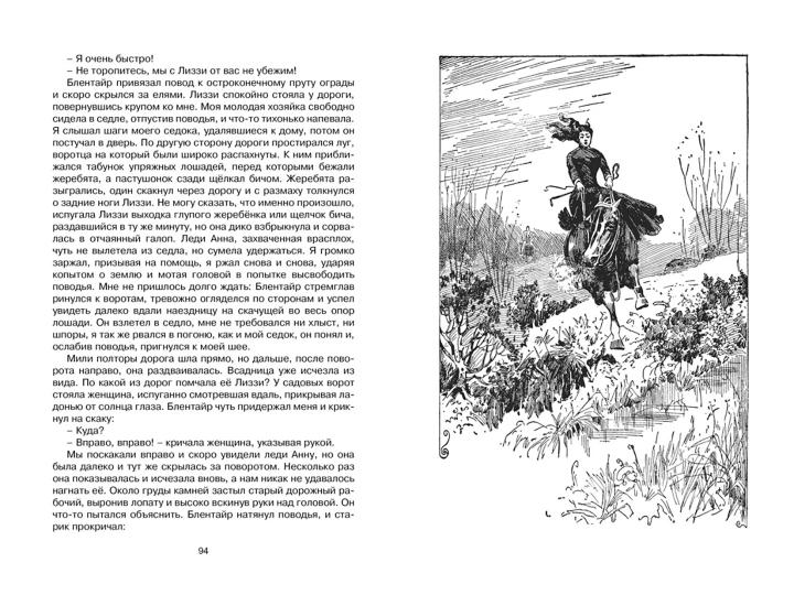 Чёрный Красавчик