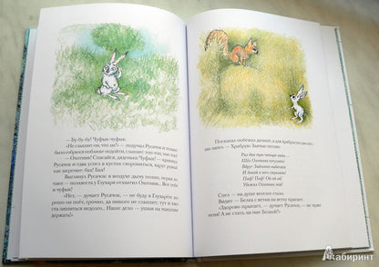 Отшельник и Роза.