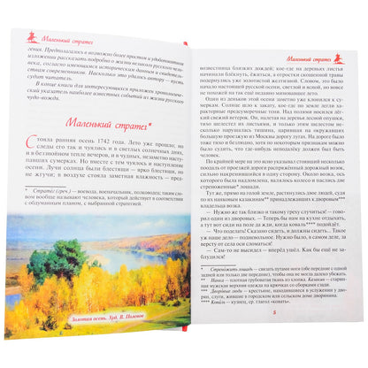 Русский чудо-вождь. Граф Суворов-Рымникский, князь Италийский, его жизнь и подвиги