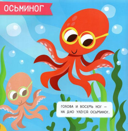 Море: мини-энциклопедия для крохи