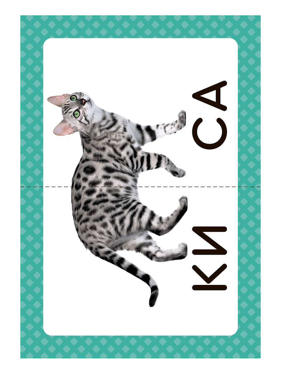 Логопедические карточки. Запускаем речь. Слова из 2 слогов. (34 карточки). / Османова, Позднякова.