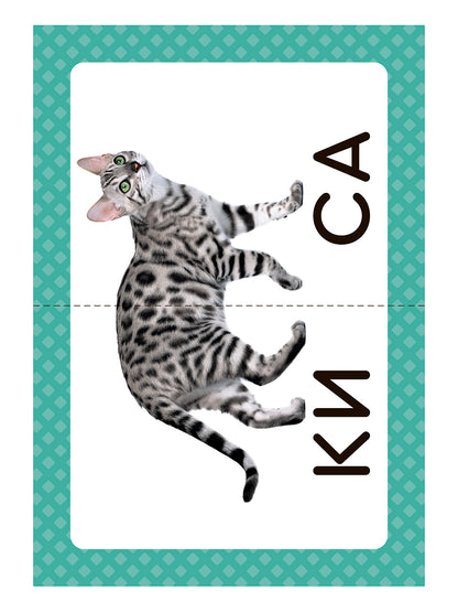 Логопедические карточки. Запускаем речь. Слова из 2 слогов. (34 карточки). / Османова, Позднякова.