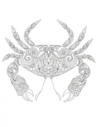 Подводный мир. Творческая раскраска обитателей глубин