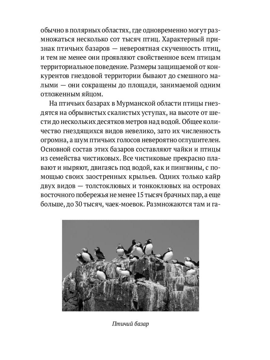 Пернатые многоженцы: Любовь, браки, измены и разводы в мире птиц