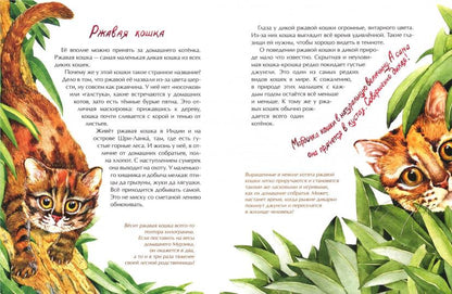 Животные-малютки. Кто на свете меньше всех?