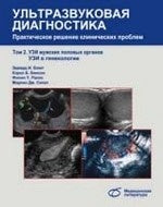 Ультразвуковая диагностика, т2. УЗИ мужских полов.