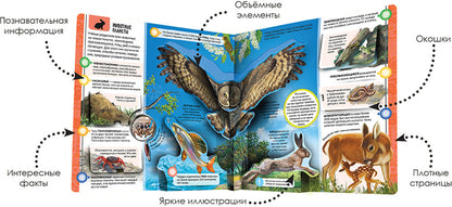 Malamalama. Энциклопедия открытий "Планета Земля"