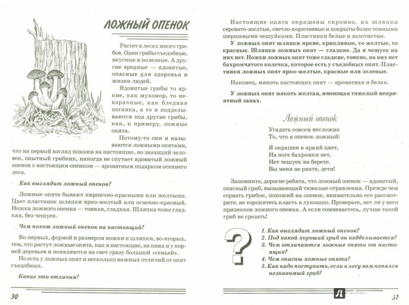 Грибы. Какие они? [Методика]