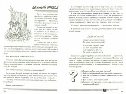 Грибы. Какие они? [Методика]
