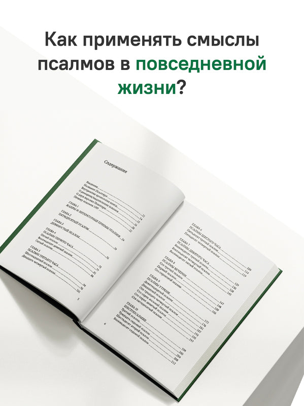 Щит Давида. Толкование псалмов, используемых в православном богослужении