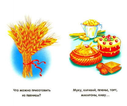 Сиреневые книжки (F) - Что из чего?
