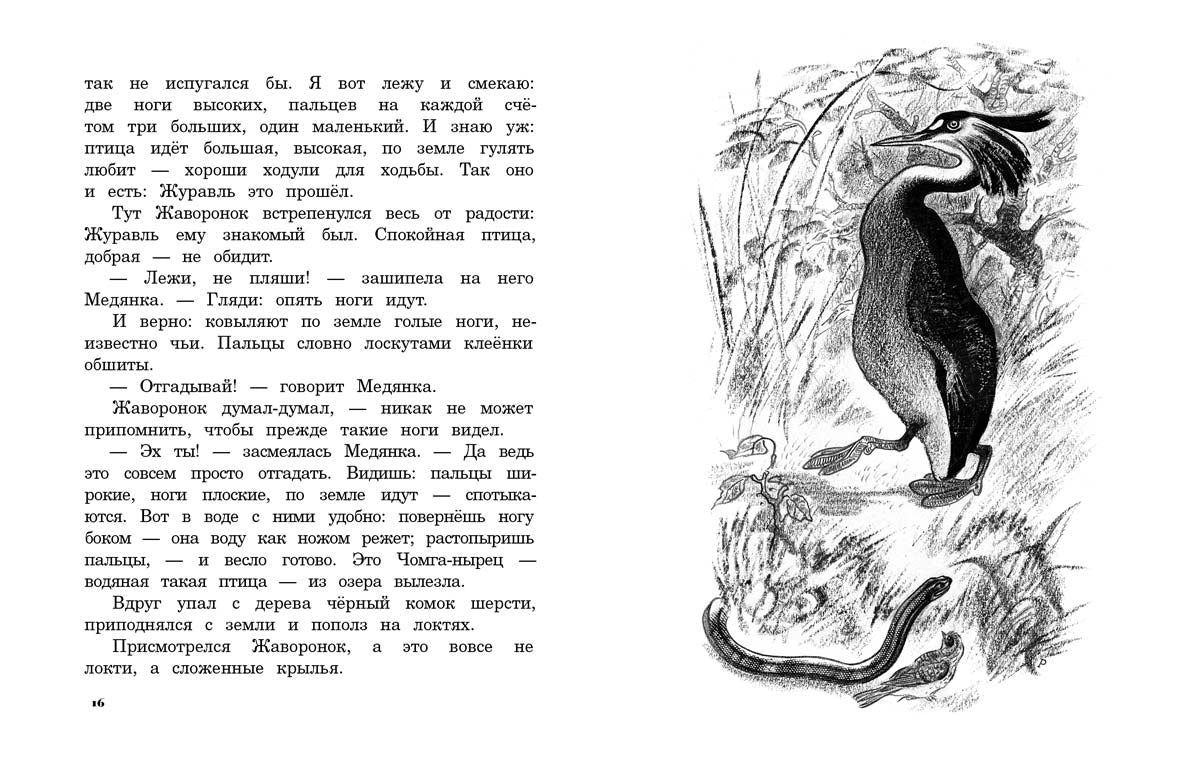Лесные домишки: сказки и рассказы