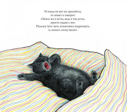 Кот Крамер все время спит