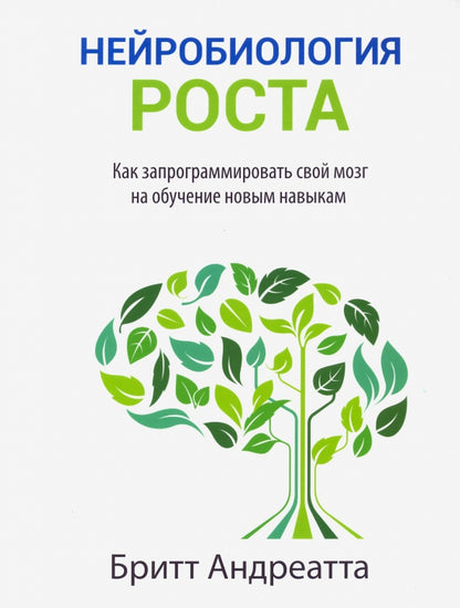 Нейробиология роста: как запрограммировать свой мозг на обучение новым навыкам