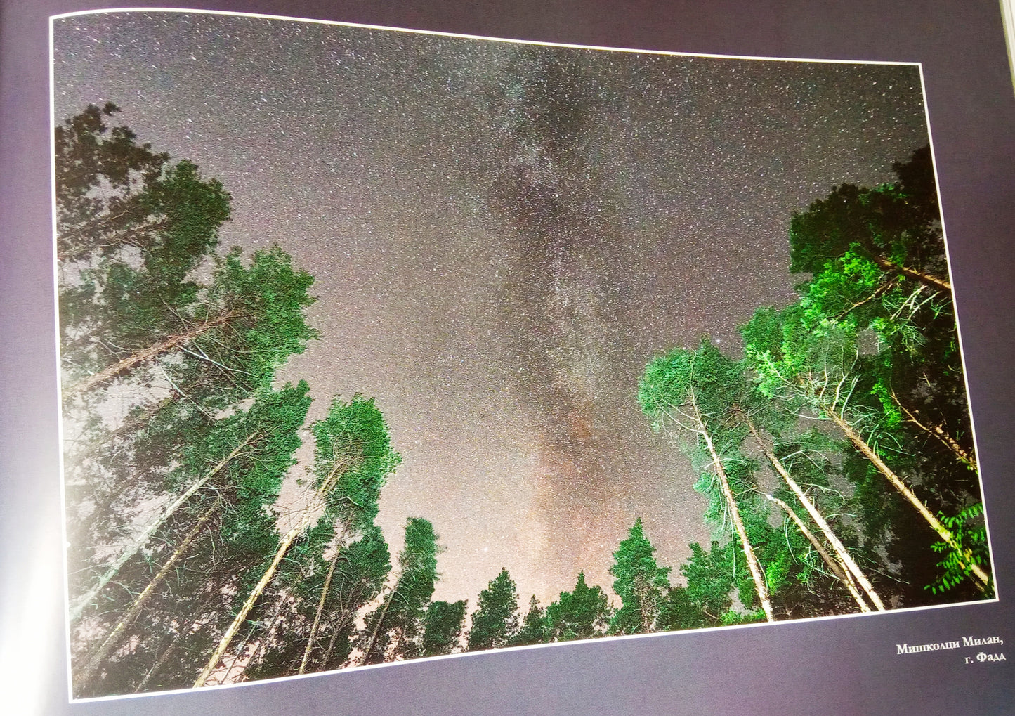 Мир глазами детей. Фотоальбом победителей конкурса Международного конкурса "В объятиях природы"