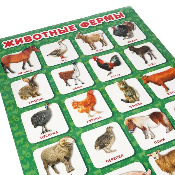 Животные фермы. Плакат А2. Умка уп-10шт в кор.5уп