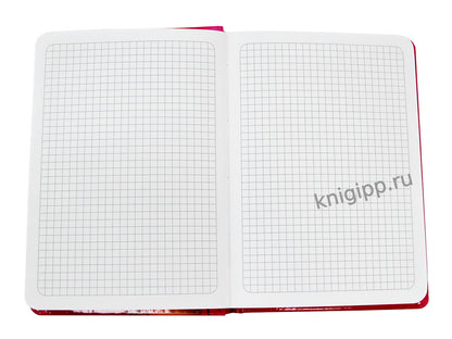 MyArt. БЛОКНОТ в клетку 3D. Апельсины