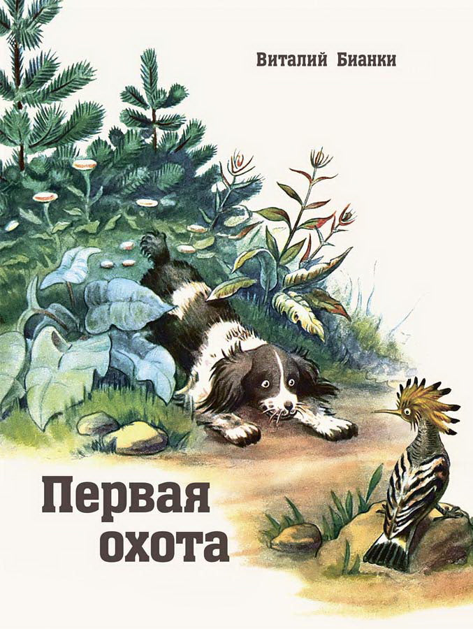 БИАНКИ В. Первая охота. илл. НЕЦКАЯ Е.