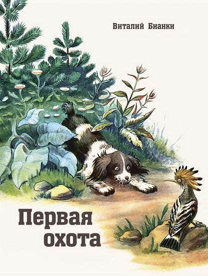 БИАНКИ В. Первая охота. илл. НЕЦКАЯ Е.