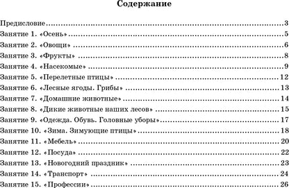Занимаемся вместе. Подготовительная к школе логопедическая группа. Домашняя тетрадь часть 1. ФГОС.