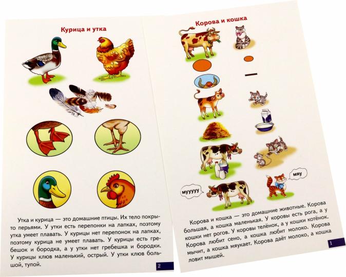 Карточки. Играй и говори! Схемы для сравнительно-описательных рассказов ; Карточки. Играй и говори! Схемы для сравнительно-описательных рассказов