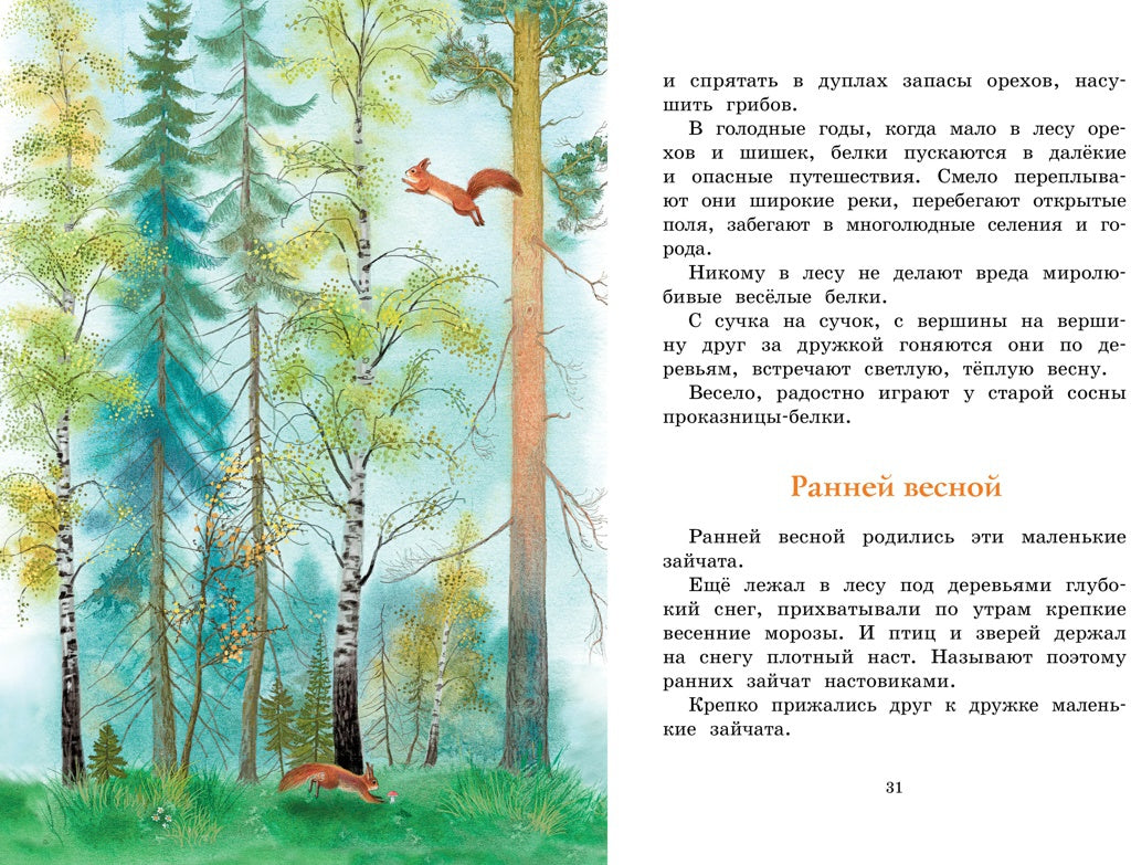 Год в лесу. Рассказы о природе