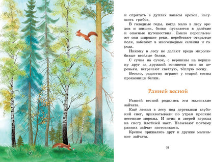 Год в лесу. Рассказы о природе