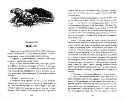 В поисках дракона