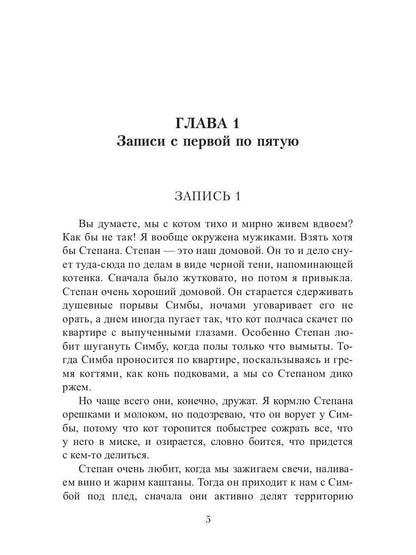 Кот, Домовой и Василий Иванович