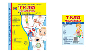 *Комплект. Дем. картинки СУПЕР Тело человека (2 формата: 173х220 и 63х87) / ВБ