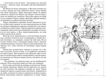 Маленькие мужчины (СНИЖЕНА ЦЕНА)