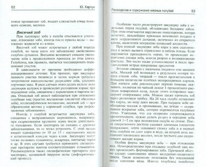 Разведение и содержание мясных голубей в род.усад.