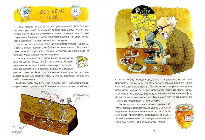 Грибное царство. А.С. Васнецова; Художник О. Громова.