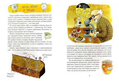 Грибное царство. А.С. Васнецова; Художник О. Громова.