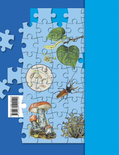 Биология. 5 класс. Рабочая тетрадь.