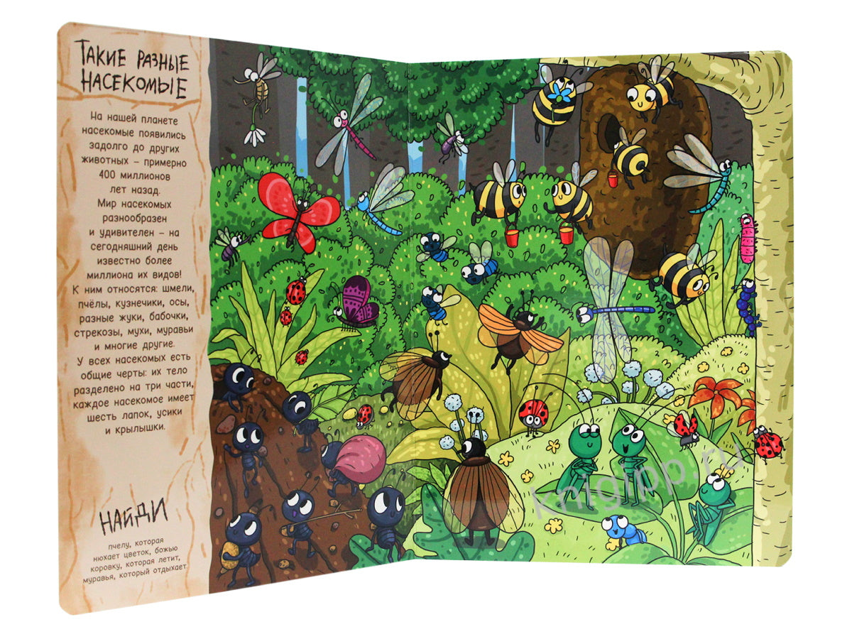 книги на картоне МАКСИ 235х310 7 разворотов. В мире букашек