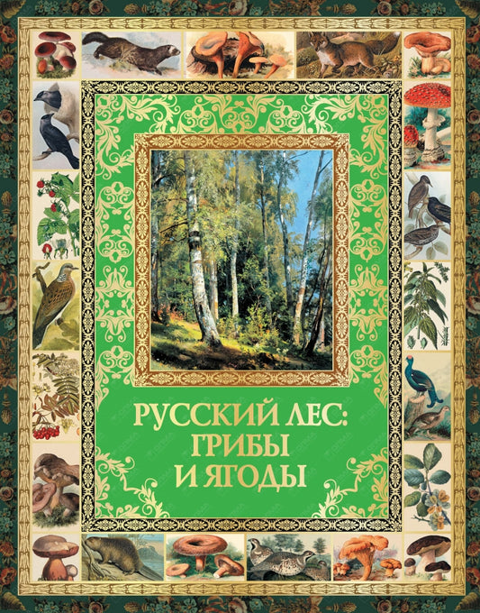 Бутромеев. Русский лес: грибы и ягоды.