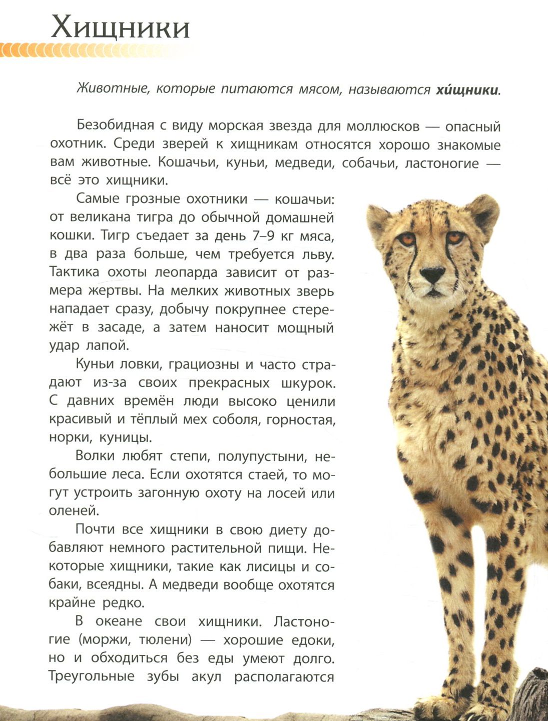 Пізнаємо та досліджуємо: Животный мир (р)
