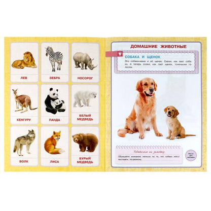 Животные. Годовой курс с поощрительными наклейками. Школа Жуковой. 1–2 года.16 стр. Умка. в кор.50шт