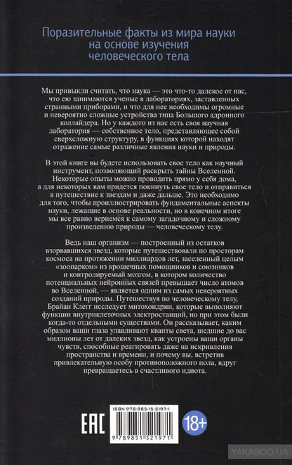 Вселенная внутри вас