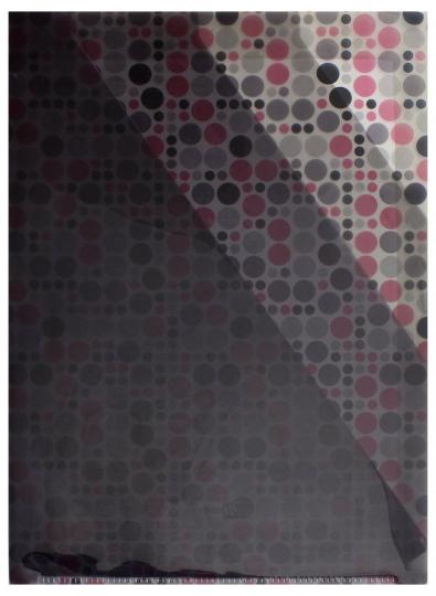 Папка-уголок д/документов А4,ГОРОХ,3отдел,47024