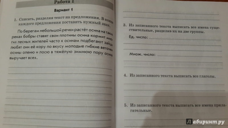 Голубь. Русский язык. Комплексная проверка знаний учащихся. Практическое пособие. 3 класс. ФГОС.