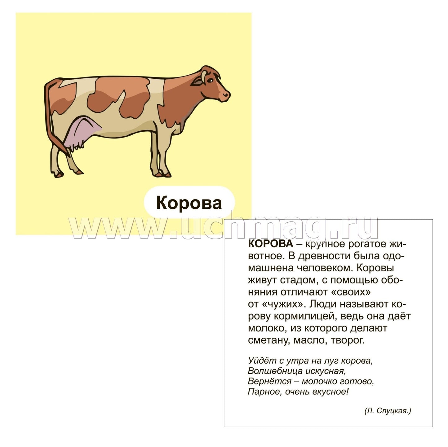 ФГОС ДО Домашние животные. 12 развивающих карточек с красочными картинками, стихами и загадками для занятий с детьми. (Размер 93х99, картон мелованный пл 295)