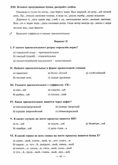Русский язык 6кл ч2 [Раб. тетр.]