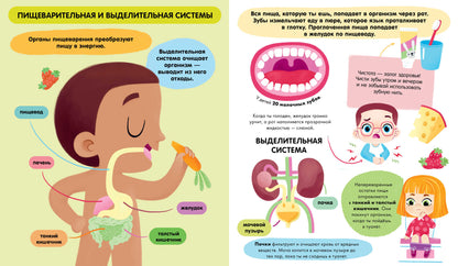 Удивительные энциклопедии. Тело человека (мягкая обл.)