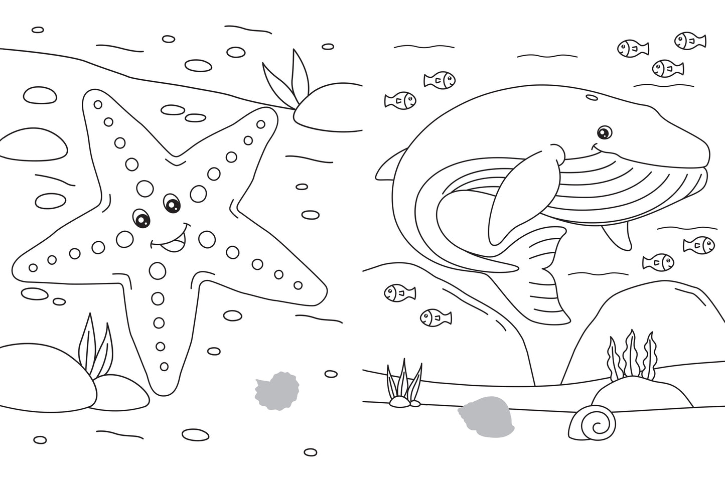 Раскрась и наклей: подводный мир: книжка-раскраска