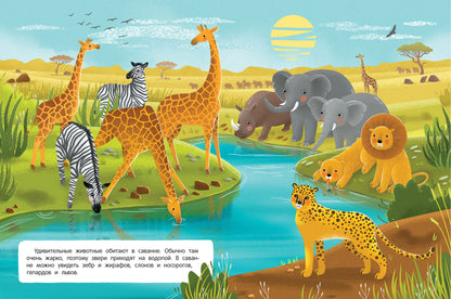 Звери и не только: книжка с наклейками