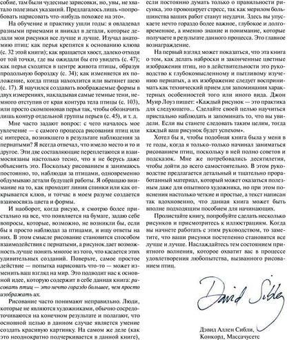 Как рисовать птиц