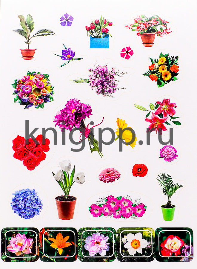 100 НАКЛЕЕК. ЦВЕТОЧКИ