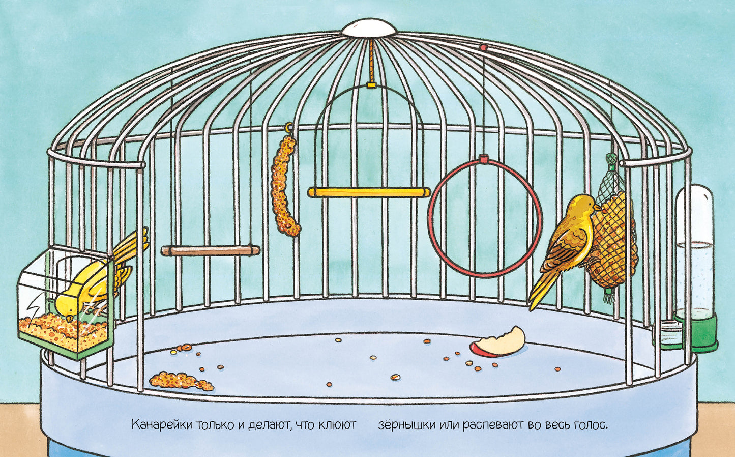 Домашние питомцы